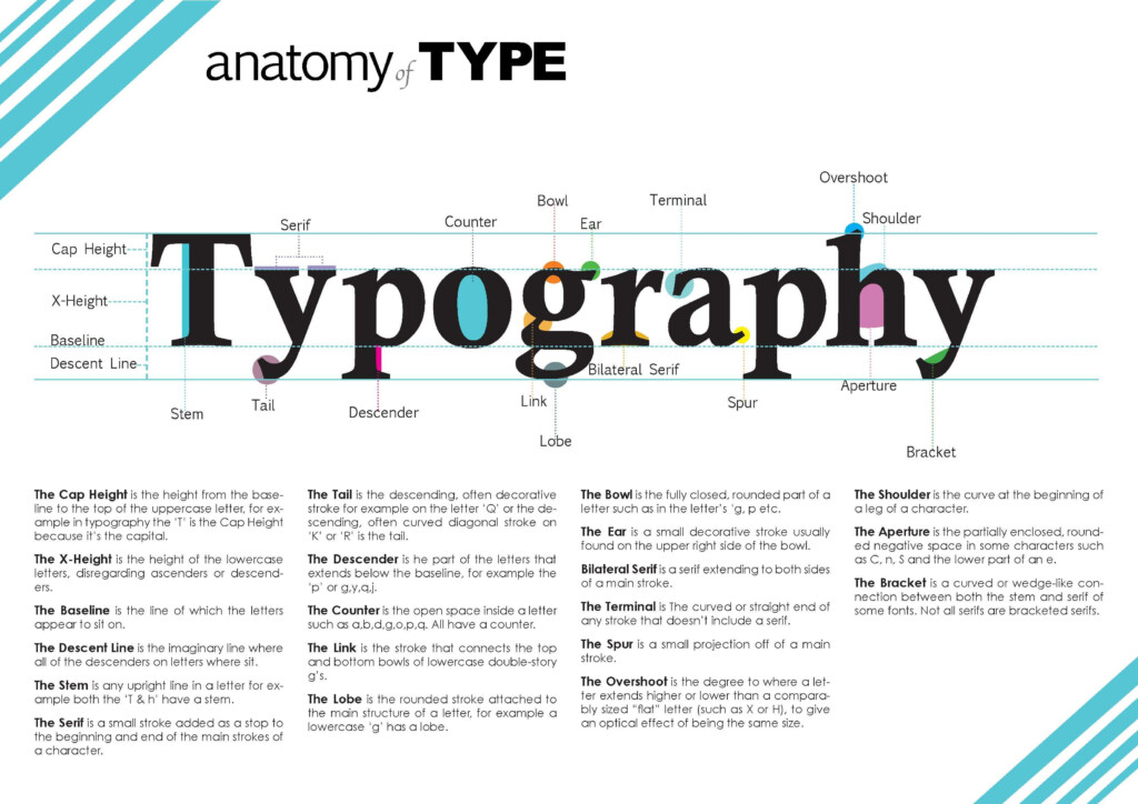 Anatomy Of Typography Worksheet
