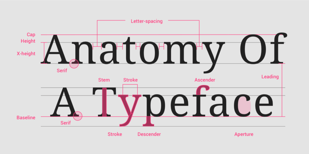 Anatomy Of Typography Worksheet