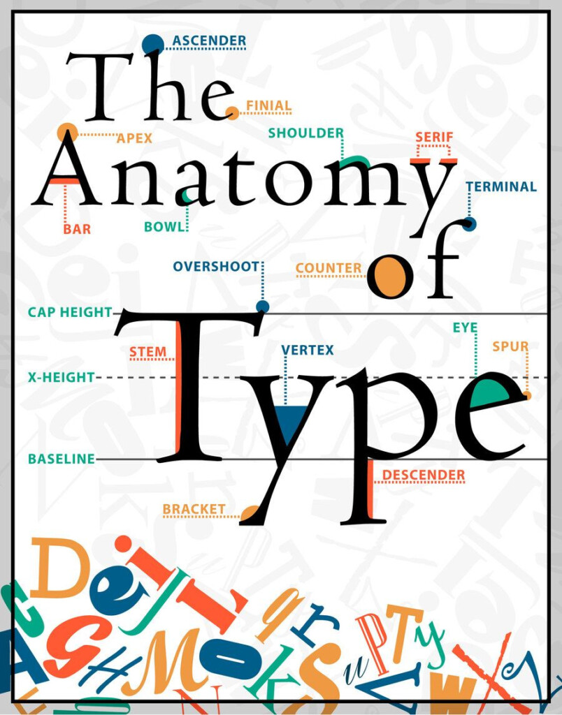 Anatomy Of Typography Worksheet
