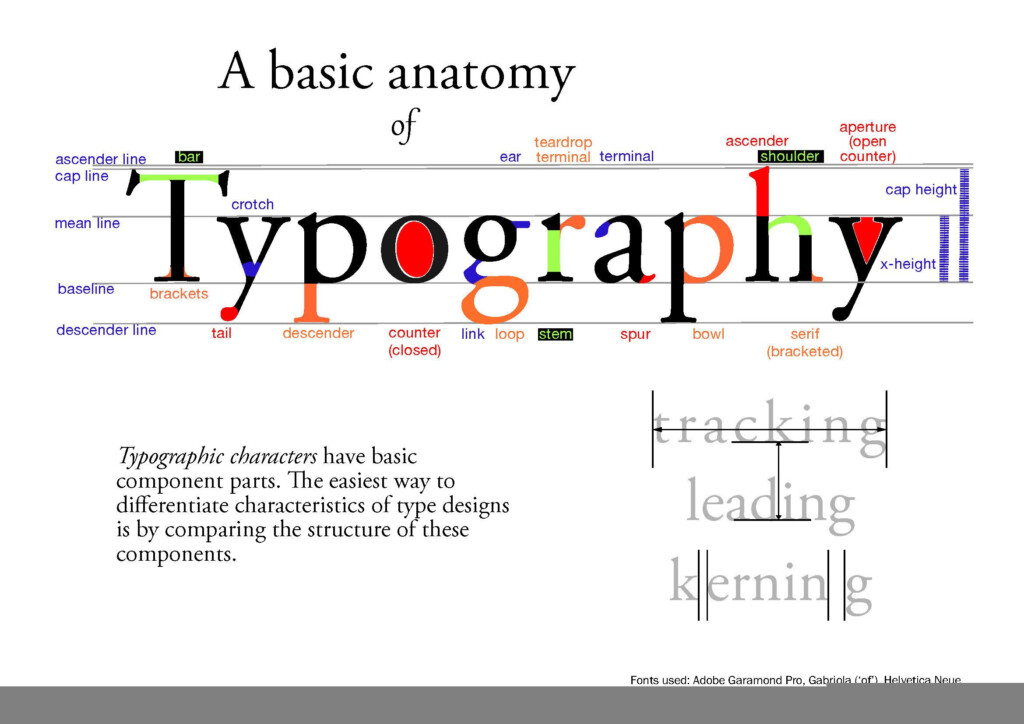 Anatomy Of Typography Worksheets Free Printable Worksheet
