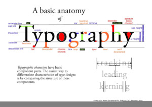 Anatomy Of Typography Worksheets Free Printable Worksheet