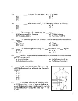 Anatomy Physiology Unit 1 Test Introduction To The Human Body