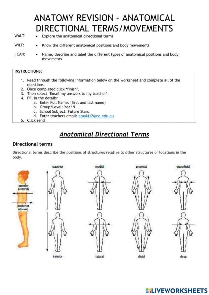 Anatomy Revision Anatomical Directional Terms movement Online 