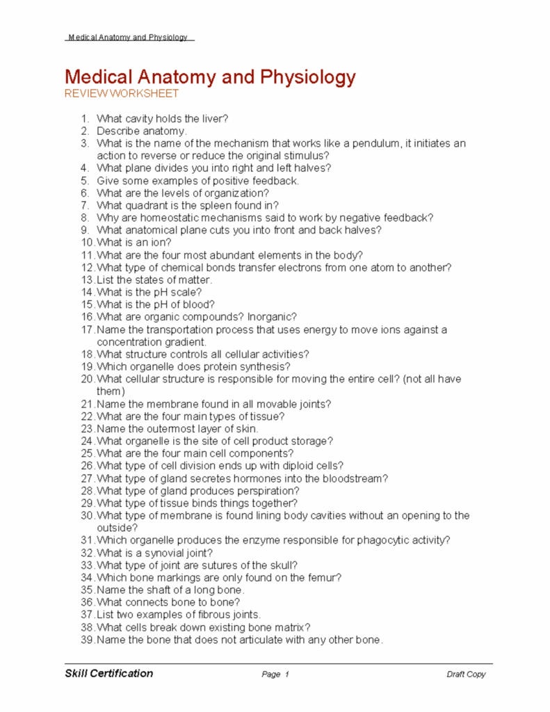 Anatomy Structure Medical Anatomy And Physiology REVIEW WORKSHEET 