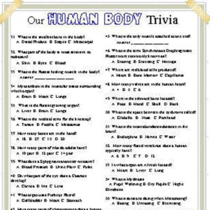 Anatomy Trivia All About Our Human Bodies Etsy