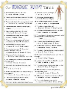 Anatomy Trivia All About Our Human Bodies Etsy