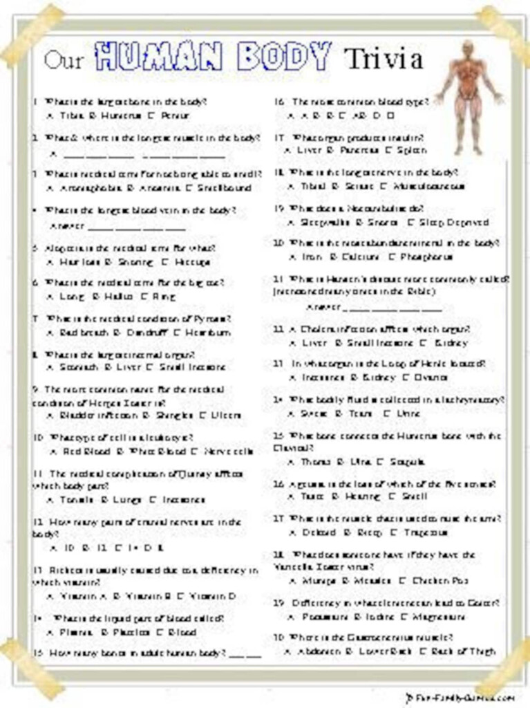 Anatomy Trivia All About Our Human Bodies Etsy