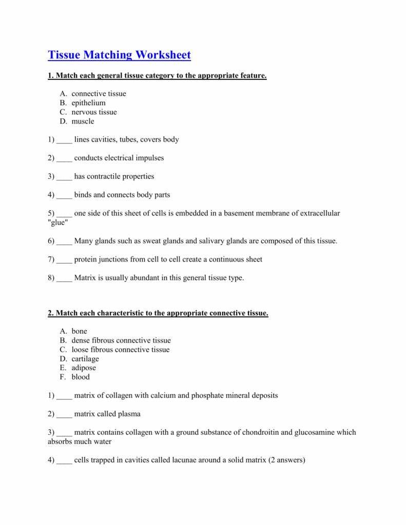 Anatomy Worksheet Connective Tissue Answers Anatomy Worksheets