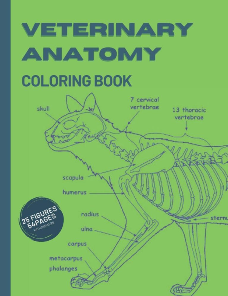 Animal Anatomy And Physiology Worksheets Printable Worksheets