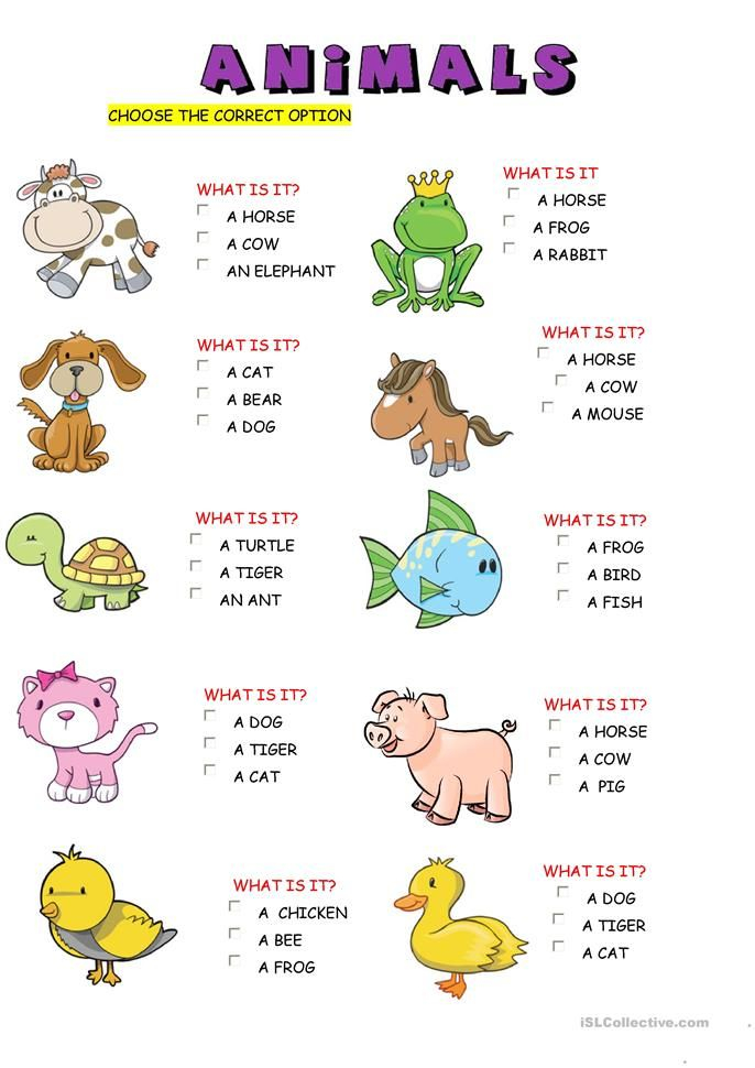 Animals Worksheet Free ESL Printable Worksheets Made By Teachers 
