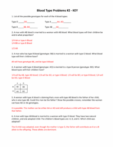 Answer Key Biology Genetics Blood Types Worksheet Answers
