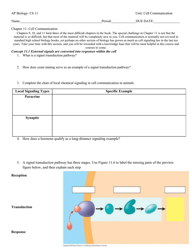AP Biology Cell Communication Chapter 11 Worksheet