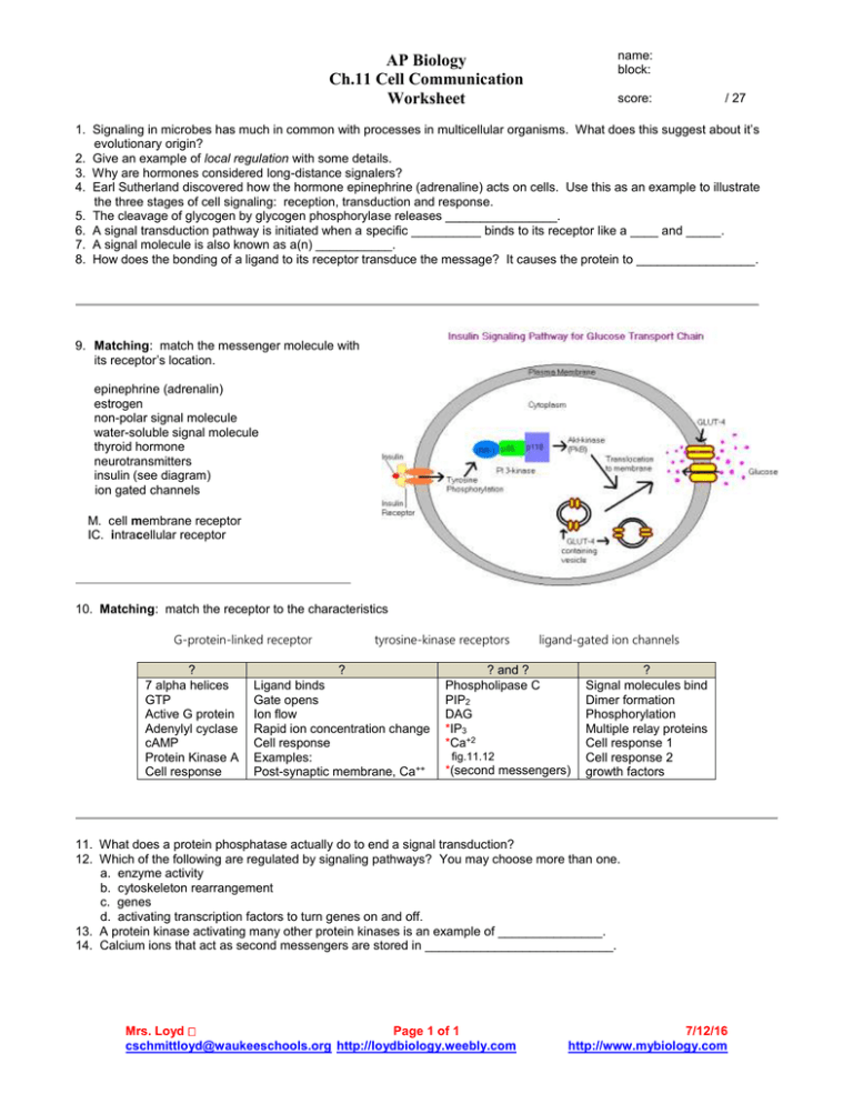 AP Biology Cell Communication Worksheet Chapter 11