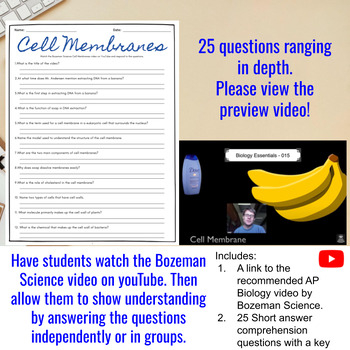 AP Biology Cell Membrane Comprehensive Worksheet Bozeman Science