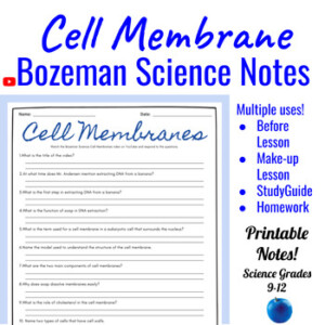 AP Biology Cell Membrane Comprehensive Worksheet Bozeman Science