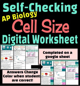 AP Biology Cell Size SA V Ratios Self Checking Digital Worksheet