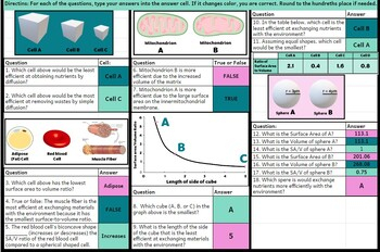 AP Biology Cell Size SA V Ratios Self Checking Digital Worksheet