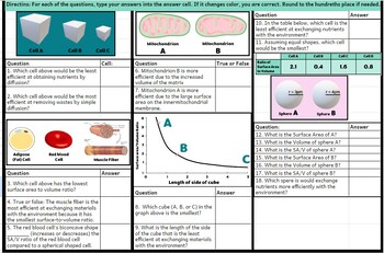 AP Biology Cell Size SA V Ratios Self Checking Digital Worksheet