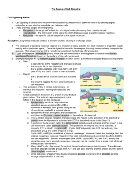 AP Biology Ch 11 Cell Communication Worksheet