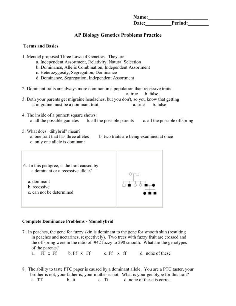 AP Biology Genetics Problems Practice