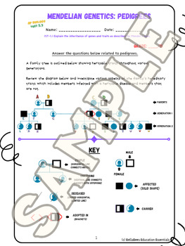 AP Biology Unit 5 3 Pedigree Concept Worksheet Mendelian Genetics