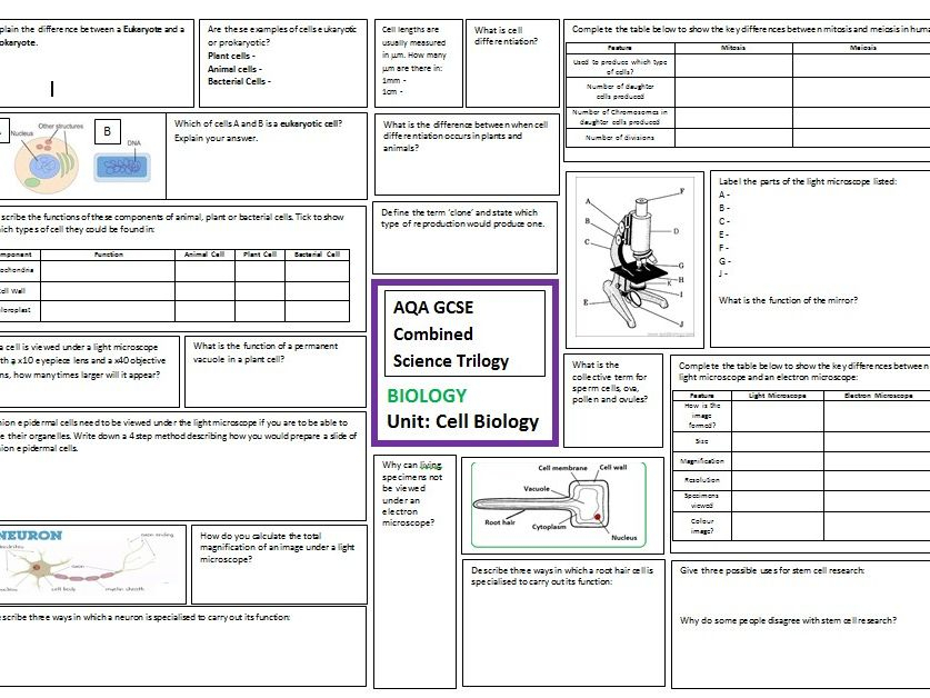 Aqa Gcse Science Student Worksheet Answers Biology B1 