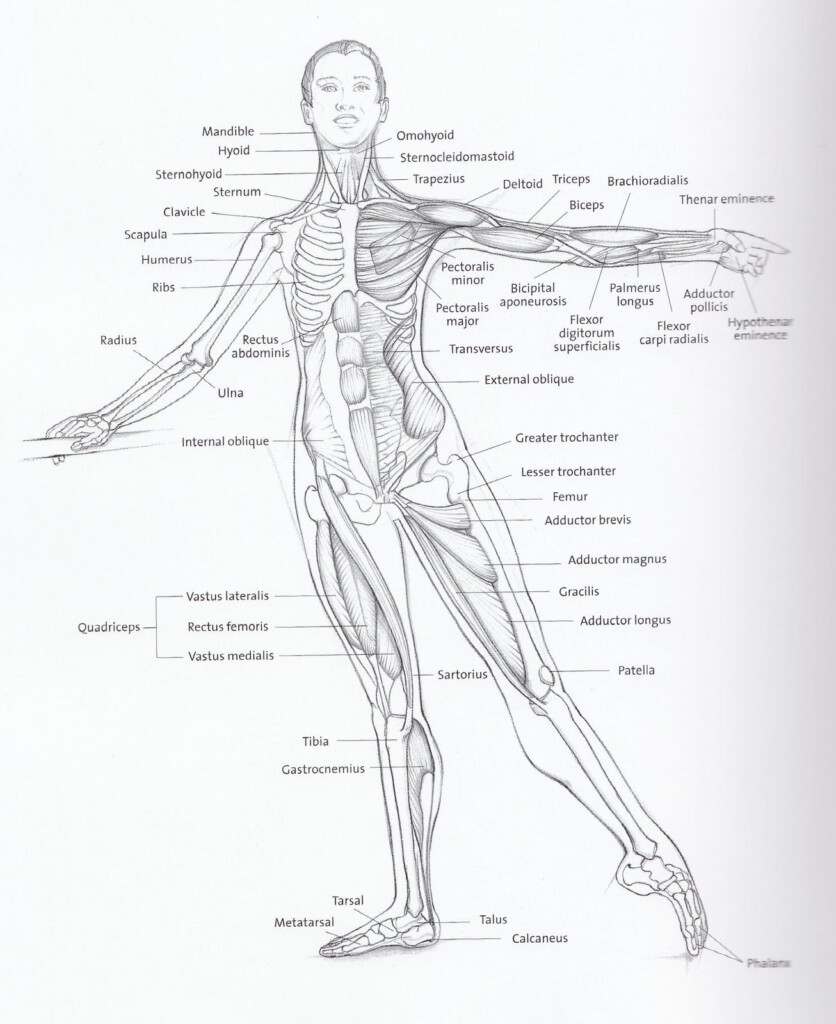 Ballet Dancing Looking After Your Feet Ankles And Calves Ballet 