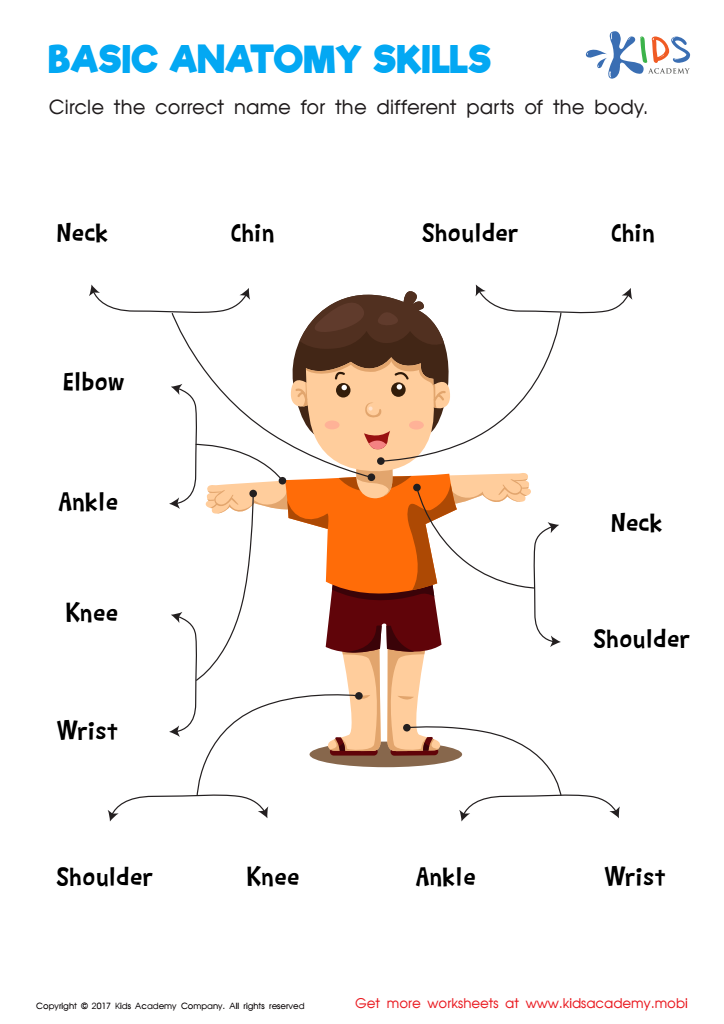 Basic Anatomy Skills Printable Free Worksheet PDF For Children