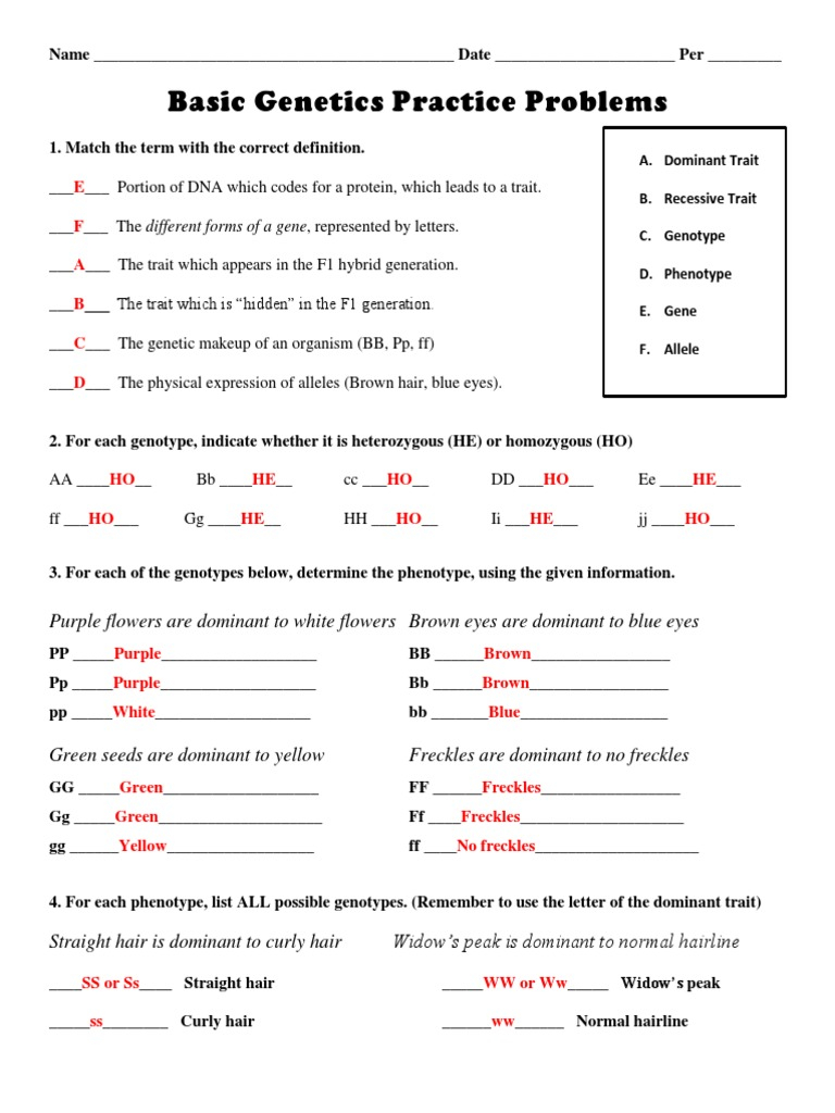 Basic Genetics Practice Problems Key 2 PDF Dominance Genetics 