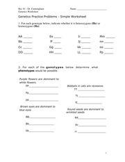 Basic Genetics Problems Bio 10 Dr Cunningham Genetics Worksheet Name 