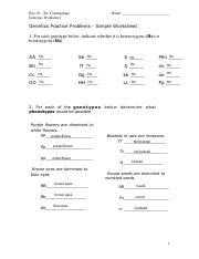 Basic Genetics Problems pdf Bio 10 Dr Cunningham Genetics 