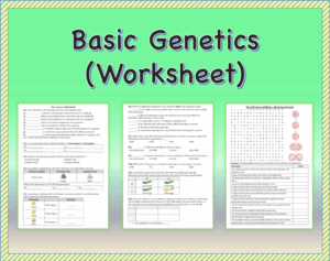Basic Genetics Worksheet Printable And Distance Learning Made By