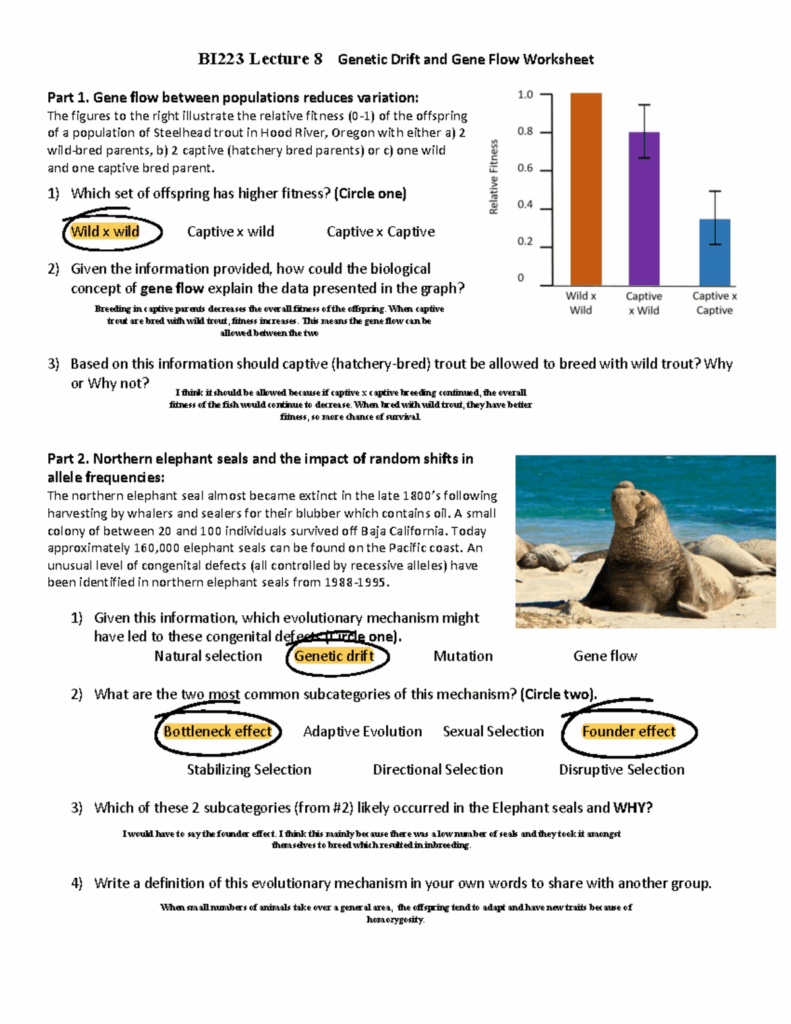 BI223 WorkSheet 8 BI223 Lecture 8 Genetic Drift And Gene Flow 