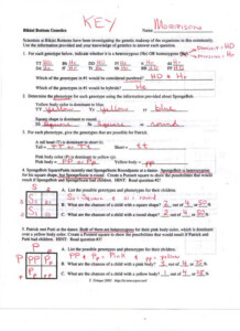 Bikini Bottom Genetics Middle School Life Sciences Pinterest