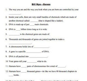 Bill Nye Genes Video Worksheet By Mayberry In Montana TPT