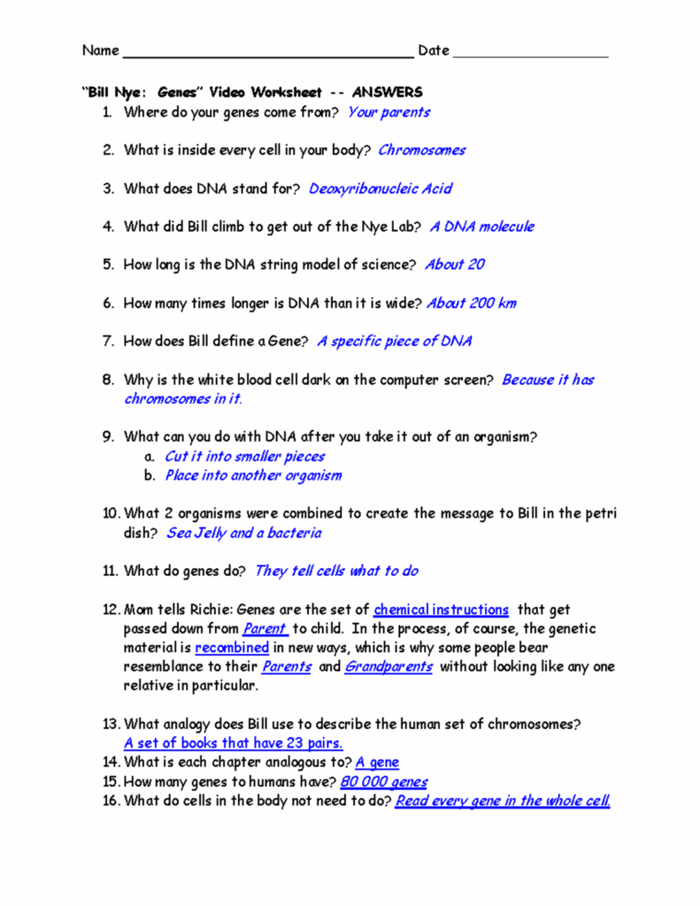 Bill Nye Genes Worksheet Answer Key S Name Date 