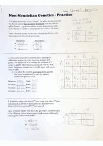 BIO 280 Non Mendelian Genetics Practice BIO 280 Studocu