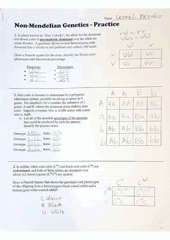 BIO 280 Non Mendelian Genetics Practice BIO 280 Studocu