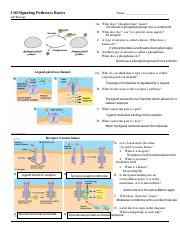 Bio Assignment Cell Signa pdf Cell Signaling Pathways Basics Name AP 