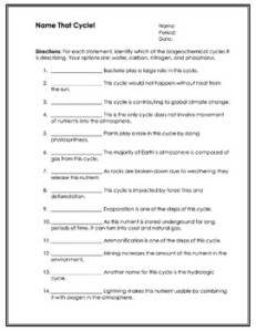 Biogeochemical Cycles Worksheets By Science Lessons That Rock TPT