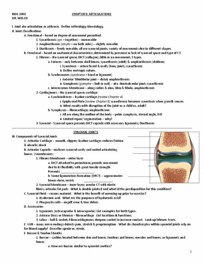 BIOL 2401 Chapter 9 1 BIOL 2401 CHAPTER 9 ARTICULATIONS DR WELCH I 