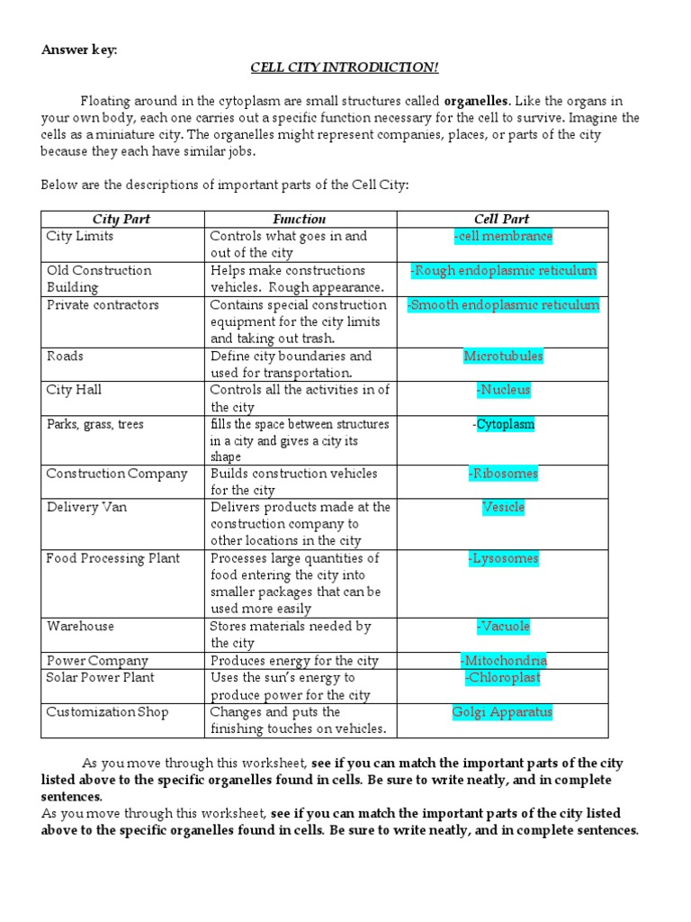 Biology Cell City Answers PDF Endoplasmic Reticulum Cytoplasm 