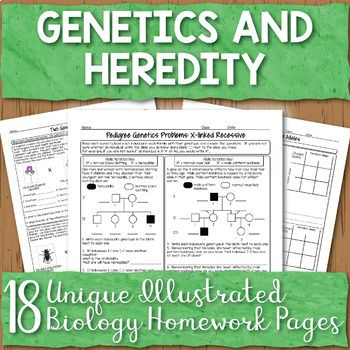 Biology Corner Worksheets On Genetics