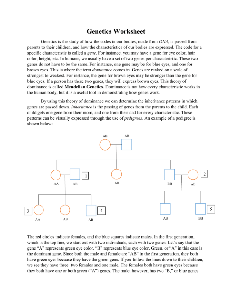 Biology Corner Worksheets On Genetics