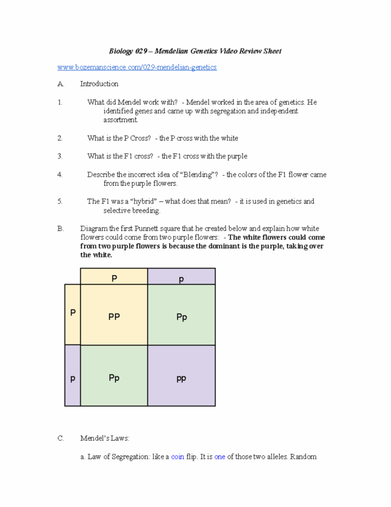 Biology CPA Mendelian Genetics Video Review Sheet Biology 029 