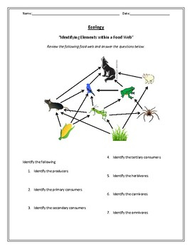 Biology Ecology Worksheets And Laboratories By Beverly 39 s Science 