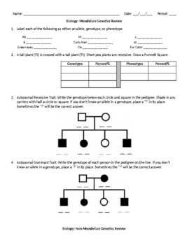 Biology Genetics Review By ABiologyTeacher TPT