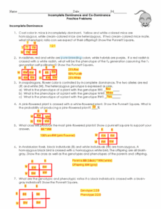 Biology Incomplete And Codominance Worksheet Answers