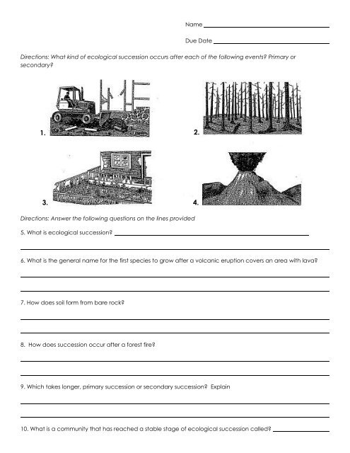 Bioman Ecological Succession Worksheet