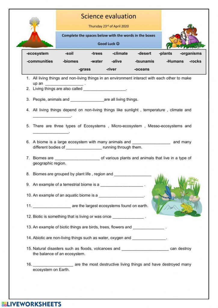 Biomes Habitats And Ecosystems Worksheet Printable And 